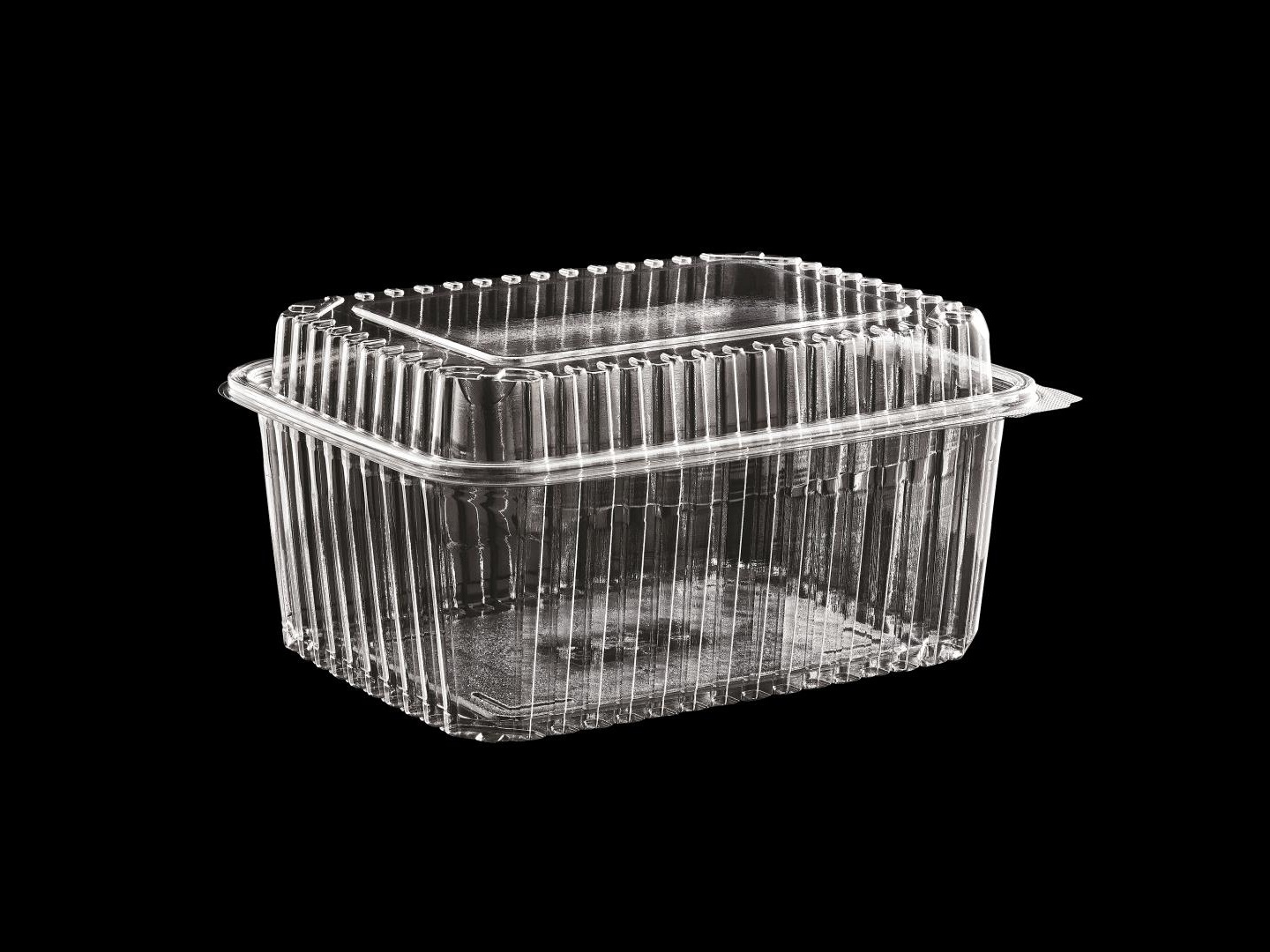 2000cc PET Container high Lid