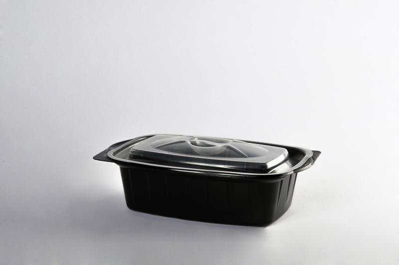 750-gram Rectangular Container